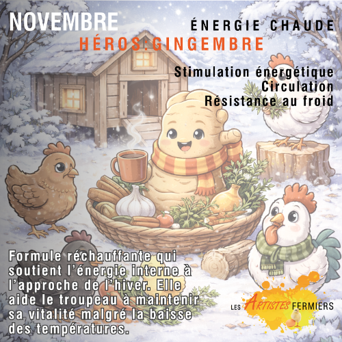Programme Annuel 1 mois – Mélange Herbes & Épices
