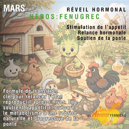 Programme Annuel 1 mois – Mélange Herbes & Épices