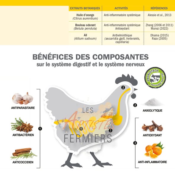 Huiles essentielles – Dose