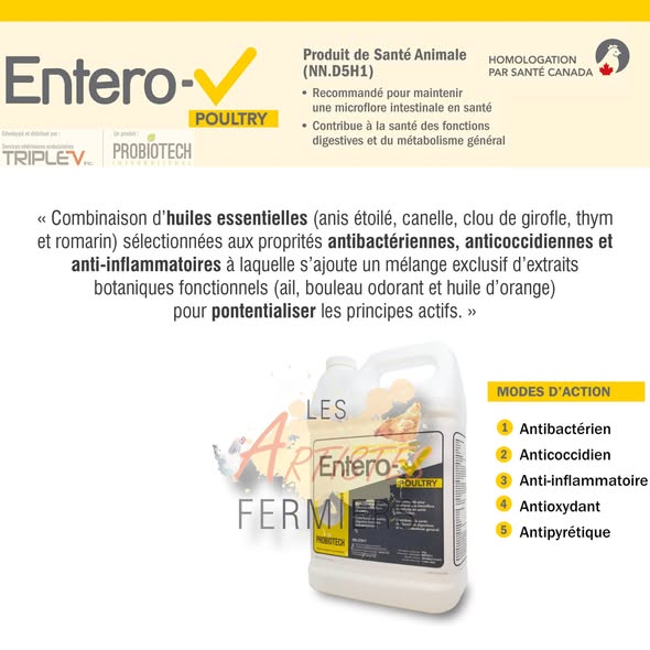 Huiles essentielles – Dose