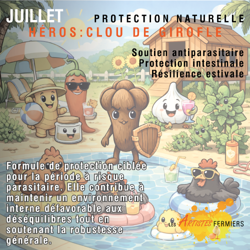 Programme Annuel 1 mois – Mélange Herbes & Épices