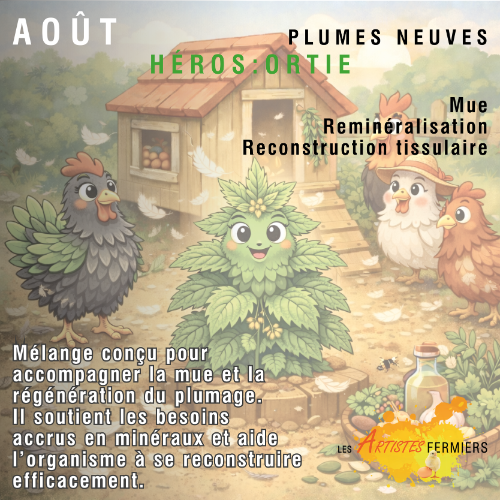 Programme Annuel 1 mois – Mélange Herbes & Épices