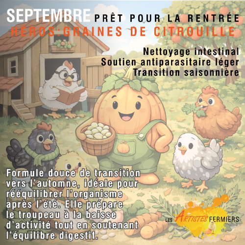 Programme Annuel 1 mois – Mélange Herbes & Épices